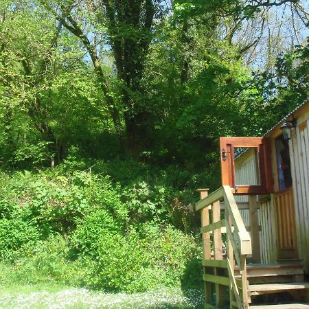 'Morris' The Shepherd'S Hut With Woodland Hot Tub Carmarthen Ngoại thất bức ảnh