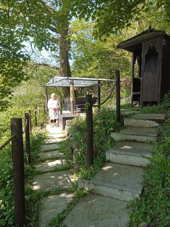 'Morris' The Shepherd'S Hut With Woodland Hot Tub Carmarthen Ngoại thất bức ảnh