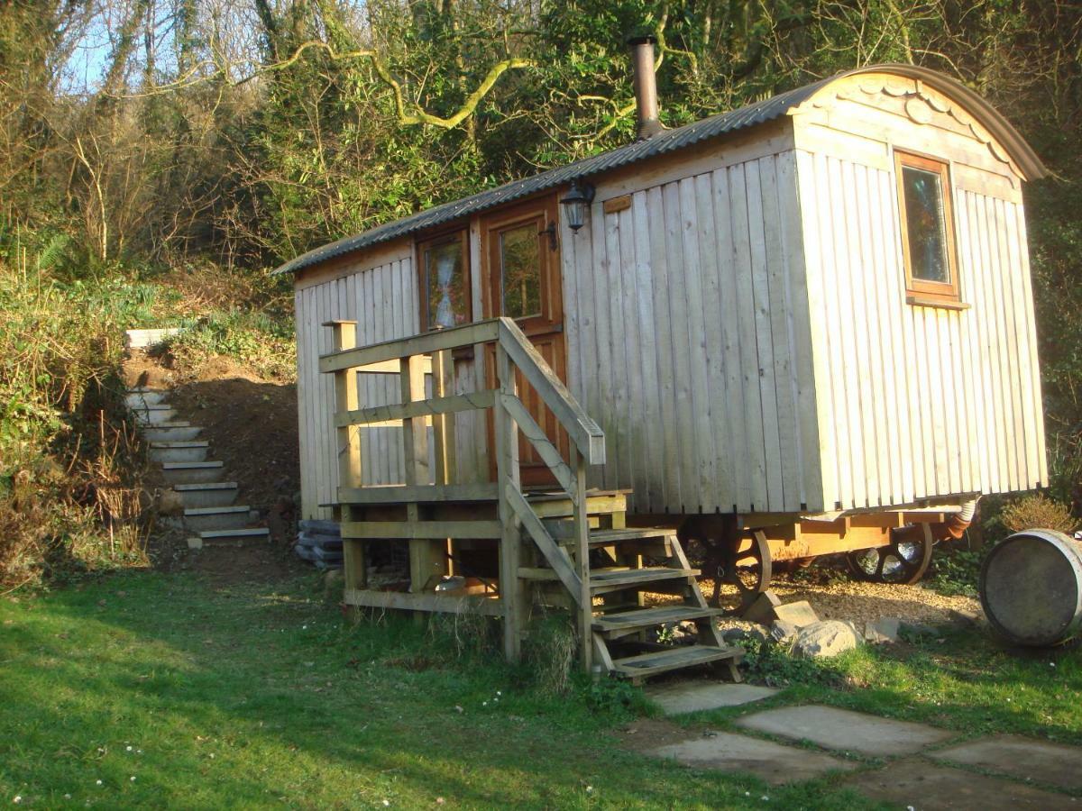 'Morris' The Shepherd'S Hut With Woodland Hot Tub Carmarthen Ngoại thất bức ảnh