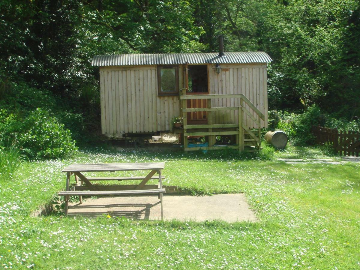 'Morris' The Shepherd'S Hut With Woodland Hot Tub Carmarthen Ngoại thất bức ảnh