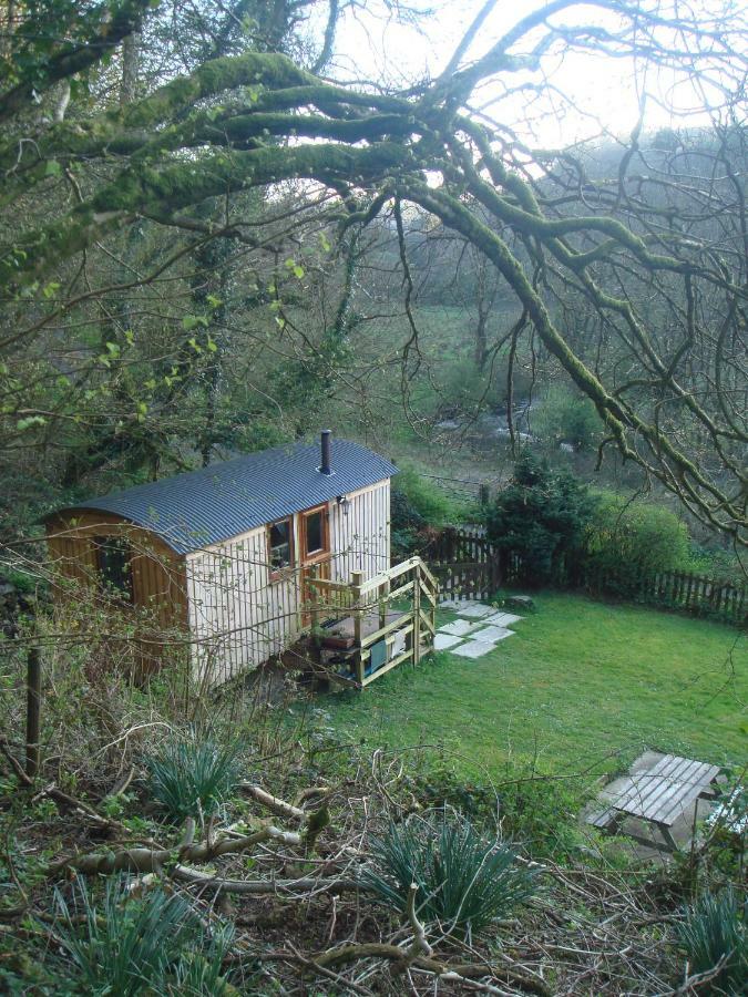 'Morris' The Shepherd'S Hut With Woodland Hot Tub Carmarthen Ngoại thất bức ảnh