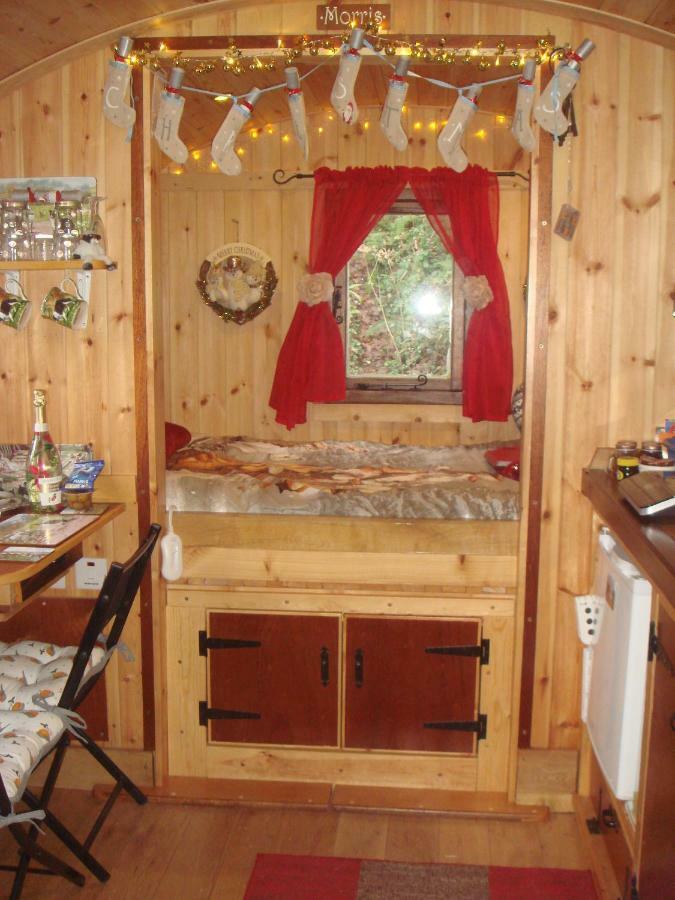 'Morris' The Shepherd'S Hut With Woodland Hot Tub Carmarthen Ngoại thất bức ảnh