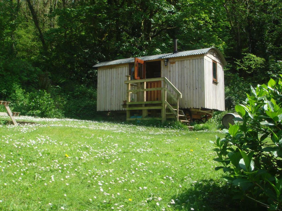 'Morris' The Shepherd'S Hut With Woodland Hot Tub Carmarthen Ngoại thất bức ảnh