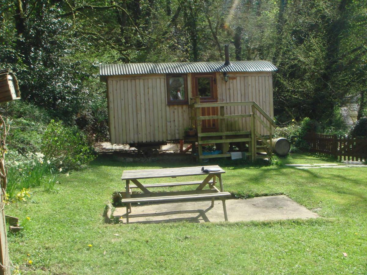 'Morris' The Shepherd'S Hut With Woodland Hot Tub Carmarthen Ngoại thất bức ảnh