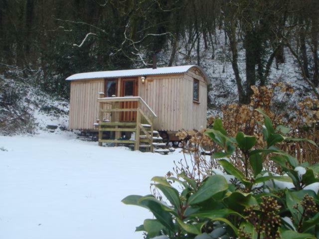 'Morris' The Shepherd'S Hut With Woodland Hot Tub Carmarthen Ngoại thất bức ảnh