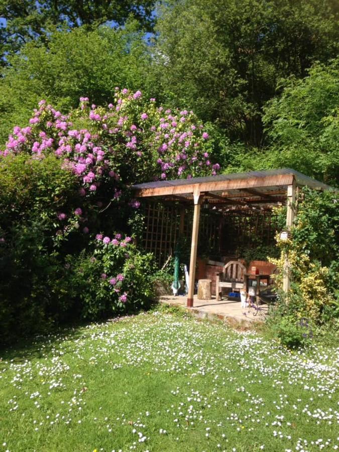 'Morris' The Shepherd'S Hut With Woodland Hot Tub Carmarthen Ngoại thất bức ảnh